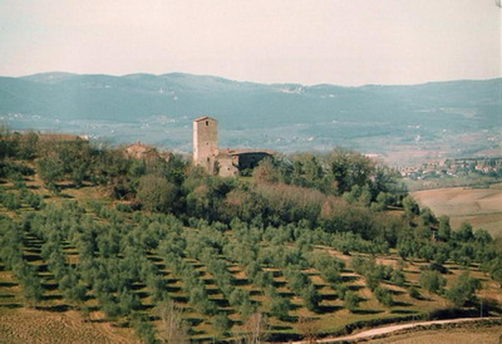 Pensjonat Castello Di Grotti Corsano  Pokój zdjęcie